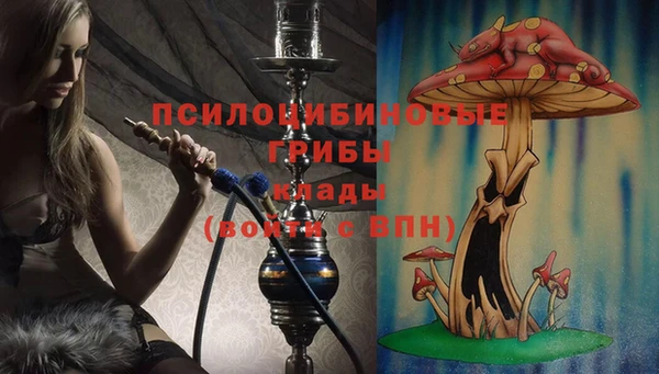 ГАЛЛЮЦИНОГЕННЫЕ ГРИБЫ Мегион