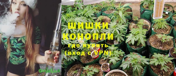 ГАЛЛЮЦИНОГЕННЫЕ ГРИБЫ Мегион