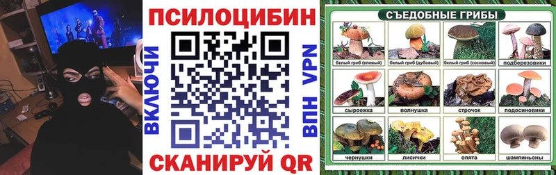 Купить  Анапа  Псилоцибиновые грибы Magic Shrooms 